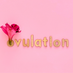 The Ovulatory Phase: How to Support your Body