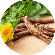 <p>Dandelion Root</p>