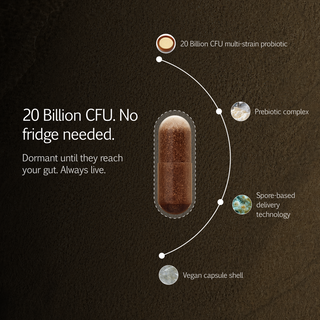 Prebiotic + Probiotic